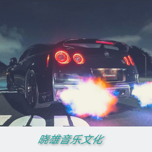 幻术摇摆（DJ版）