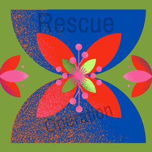 बचाव अभियान (Rescue Operation)