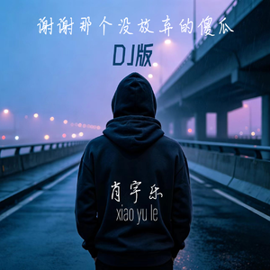谢谢那个没放弃的傻瓜 (DJ版)