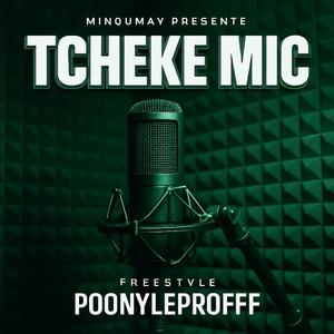 Tcheke MIC