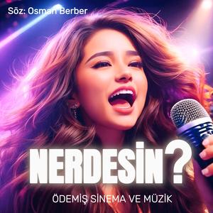 NERDESİN?