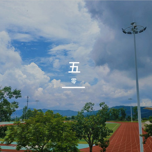 晨光的琥珀旅程