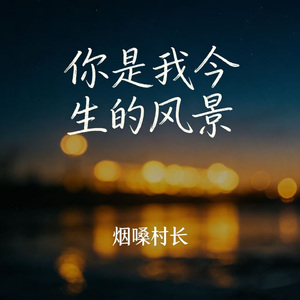 你是我今生的风景