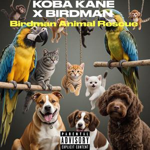 Birdman (Animal Rescue) (feat. BIRDMAN)
