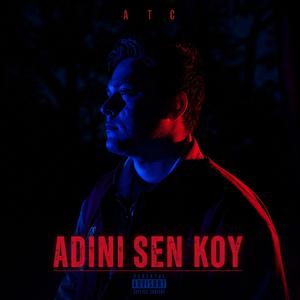 ADINI SEN KOY