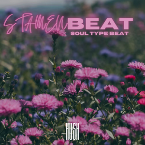 【Beat】'Stamen' | Soul Type Beat