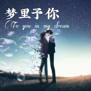 梦里予你