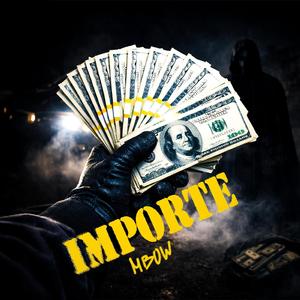 IMPORTE