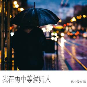 我在雨中等候归人