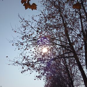 雨1108（Prod by Coffee Idol）