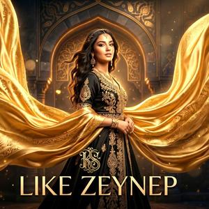 Like Zeynep