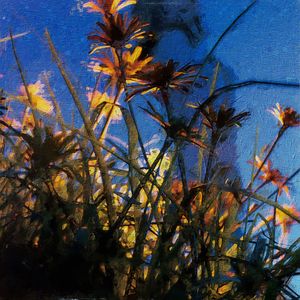 时间划过指尖带走你