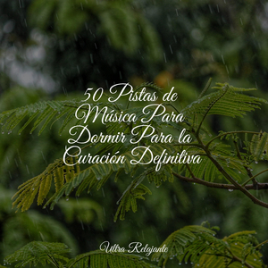 Despertar