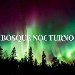 BOSQUE DE NOCHE