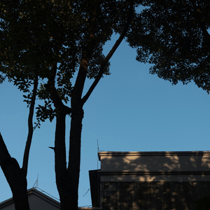 5469 (rework)