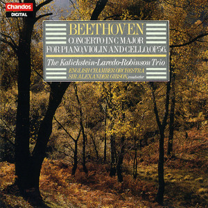 Triple Concerto in C Major, Op. 56: III. Rondo alla Polacca