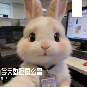 今天就吃这么多