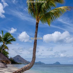 按摩温和的波萨诺伐舞曲