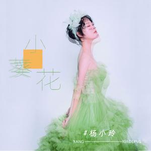 小葵花