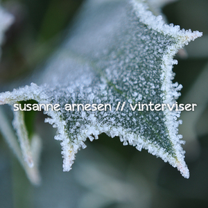 Vintervise