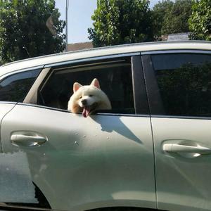 爱就一个字（翻自 李巍v仔）