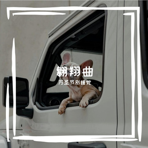 翡翠胸针的慵懒节拍