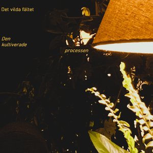 Den Kultiverade Processen V