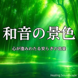 昼下がりに流しておきたい穏やかな音楽 余白の時間をつくる緩やかな癒しピアノ