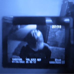 i miss the way you'd look