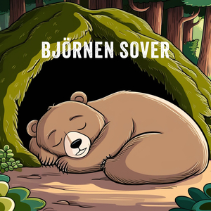 Björnen Sover