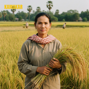 ល្ងាចហើយខ្មៅបង