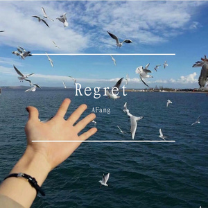 Regret（遗憾）