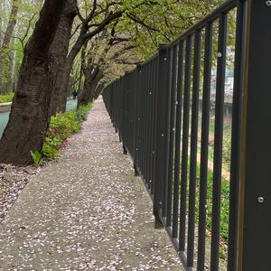 내일이 물드는 시간