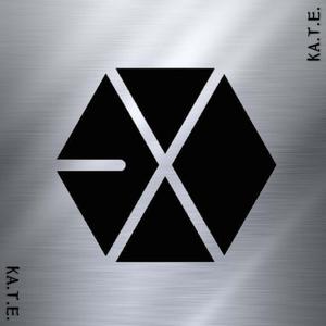 美好的意外（翻自 Chen）