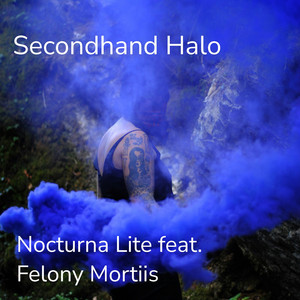 Secondhand Halo