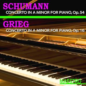 Piano Concerto in A Minor, Op. 54: I. Allegro affettuoso