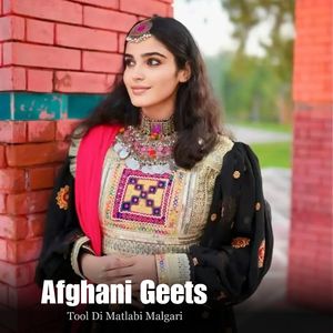 Tool Di Matlabi Malgari