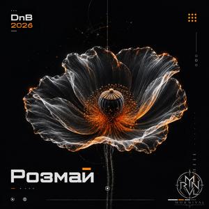 Розмай (DnB Version)