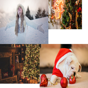 Guter König Wenzel; Weihnachten 2020