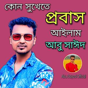 Kon Shukhete Probash Ailam