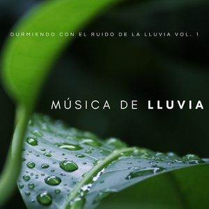Noche De Lluvia Para Aliviar El Estrés