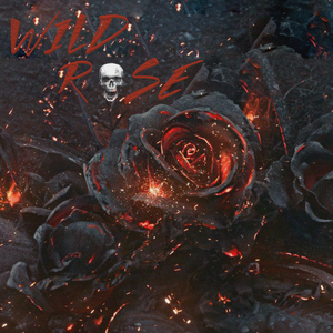 wild rose