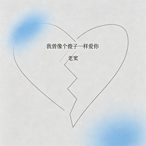 我曾像个傻子一样爱你