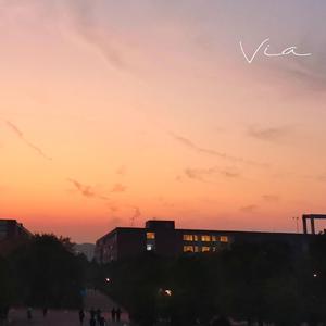 下午醒来的时候房间只有我一个人了