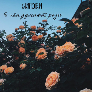 О чём думают розы