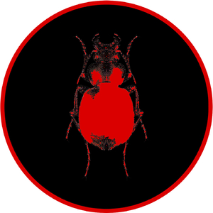 Sekuaz (Original Mix)