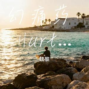 幻痛药 (Remix)