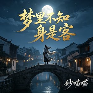 梦里不知身是客