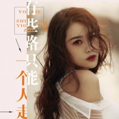 有些路只能自己走 (DJ何鹏版)