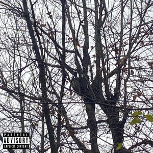 ONLY BUILT 4 CUBAN DRINX... (feat. JaeFrmJerz)